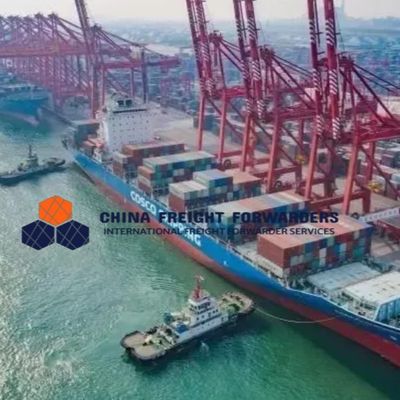 Logistics International Shipping Freight Forwarder From China to Australia DDU/DDP