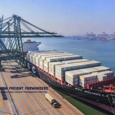 40GP 40HQ Sea Freight Forwarder Shipping Sea Cargo Services From China To USA