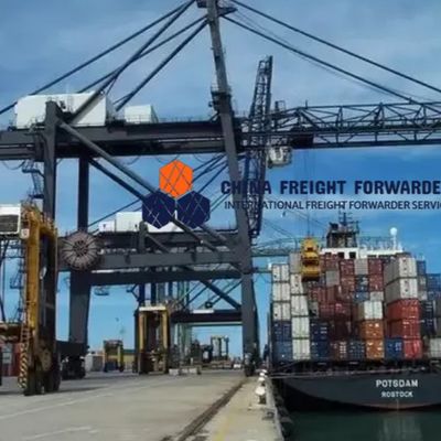 Fast Sea Freight Forwarder Shipping Full Container China To Canada