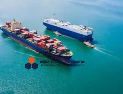All Types of Battery Cargo Sea Freight Forwarder with Tracking