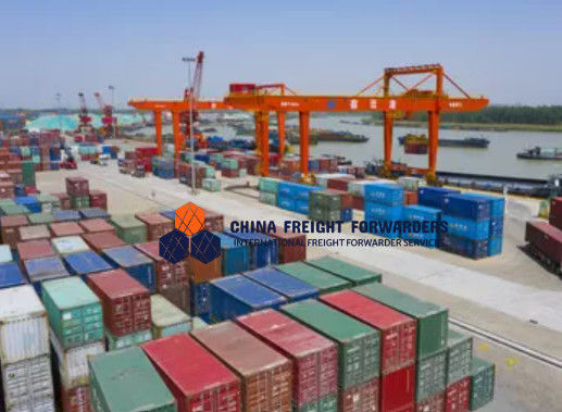 Less Than Container Load Sea Freight Forwarder For EXW Terms And All Cargo Sizes