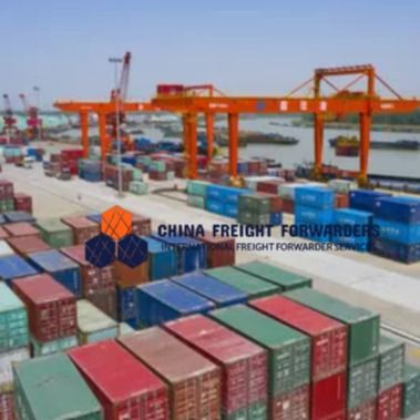 LCL Sea Freight Forwarder Agent International Ocean Shipping Services China to Canada