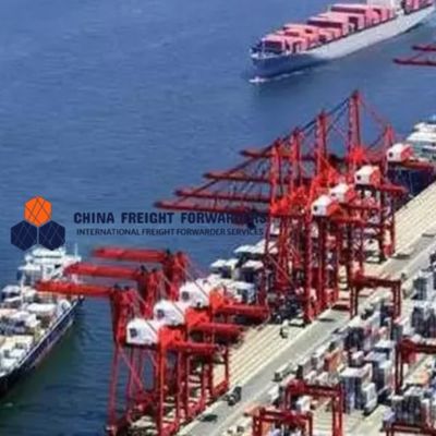 20GP 40GP International Ocean Freight Shipping From China To USA