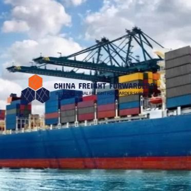 Logistics Chinese Customs Clearance Customized China Export Customs Clearance