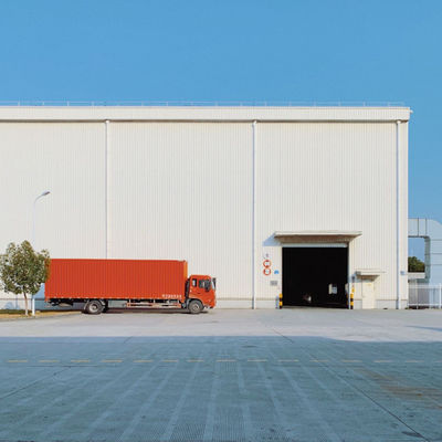 China DDP International Shipping Freight Delivered DDP Shipping Tracking