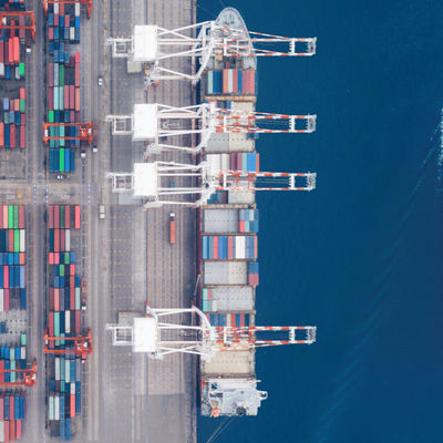 Flexible Sea Freight Forwarder Customs Clearance China Sea Transport Services
